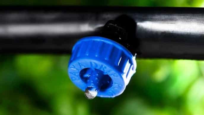 What is drip irrigation? Equipment needed and everything you need to know.