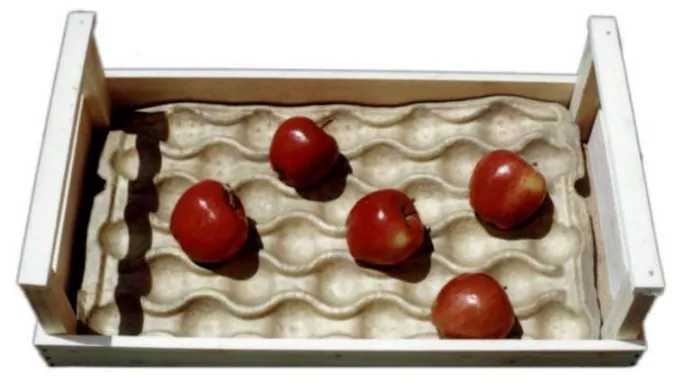 شانه میوه چیست؟