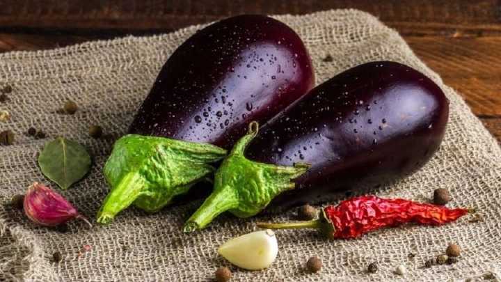 غذاهای شمالی با بادمجان