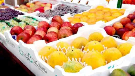 What should we pay attention to for fruit export?