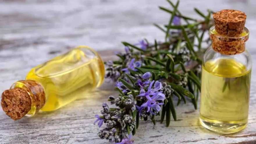 عرقیجات گرم برای زمستان