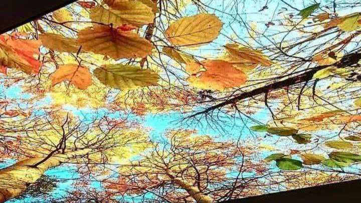 بازسازی ساختمان و طراحی دکوراسیون داخلی آخیز دکور در ملایر