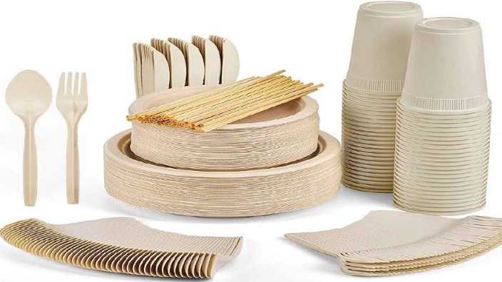 ظرف یکبار مصرف چیست؟ تاریخچه، کاربردها و مزایا آن