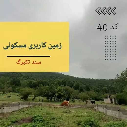 املاک آرکا