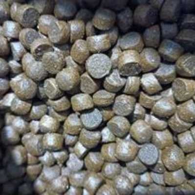 غذای ماهی رجایی