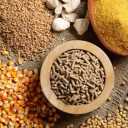 Production of animal and poultry feed and domestic pets in Mahdane Alborz in Shahryar, Tehran