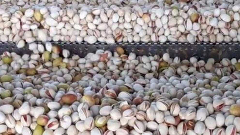 ماشین آلات و دستگاه های فرآوری پسته