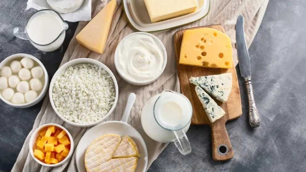 Trading and sales of Hashemzadeh dairy products in Razavi Khorasan