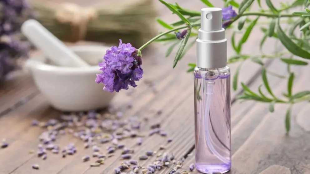 فرق بادی اسپلش و بادی میست