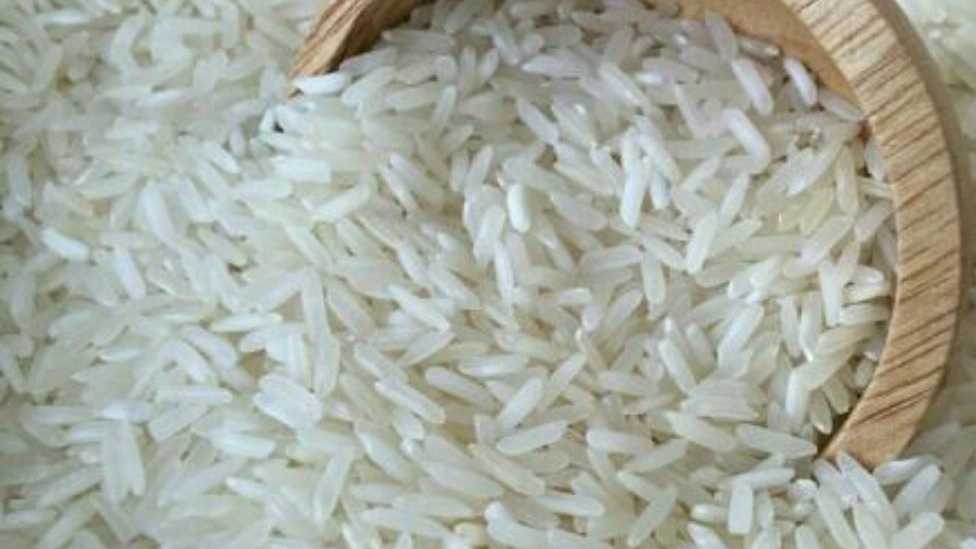 انواع گونه های برنج ایرانی