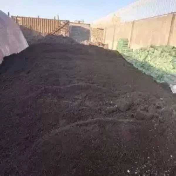 خاک گلدانی سلطانی