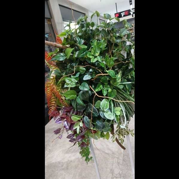 بوته ها باکسی و گرینوال سبز