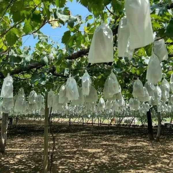 پایه فنس بتنی تیموری در تیران اصفهان