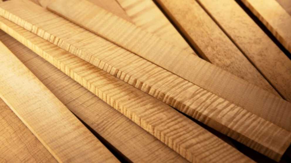 انواع چوب مصرفی در صنعت مبلمان
