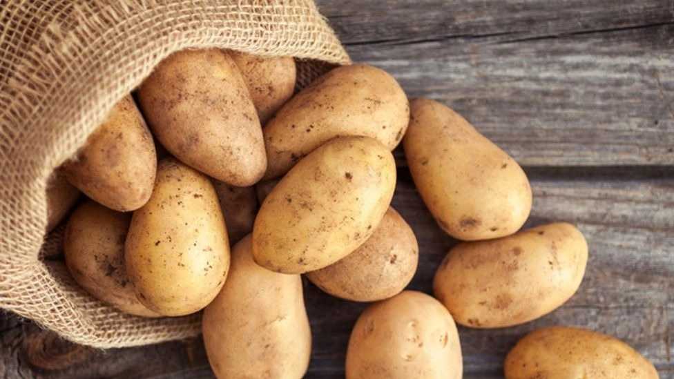 محبوب ترین صیفی جات دنیا