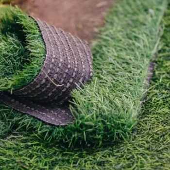 مصنوعی و فضای سبز نورچمن