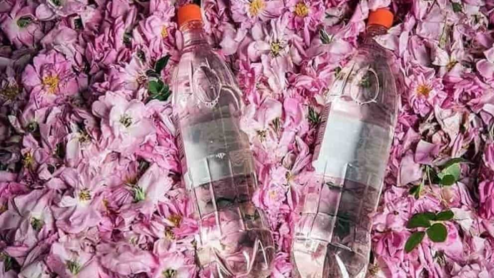 خصائص ماء الورد ورائحته الطيبة
