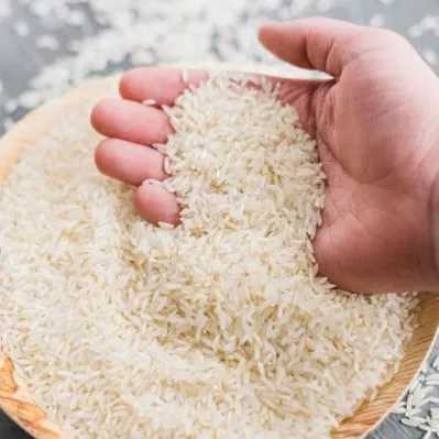 بازرگانی برنج قنبری