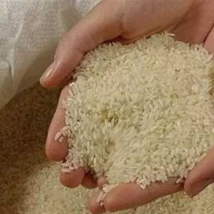 بازرگانی برنج قنبری