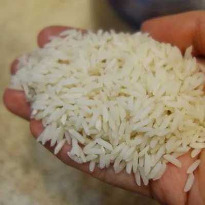 بازرگانی برنج قنبری