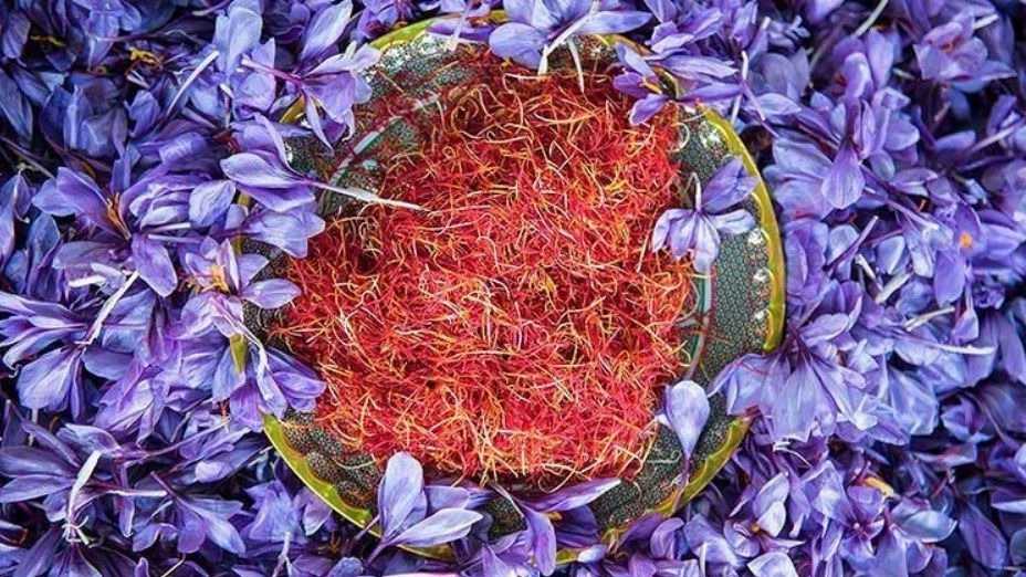 معرفی استان‌های تولیدکننده زعفران در ایران