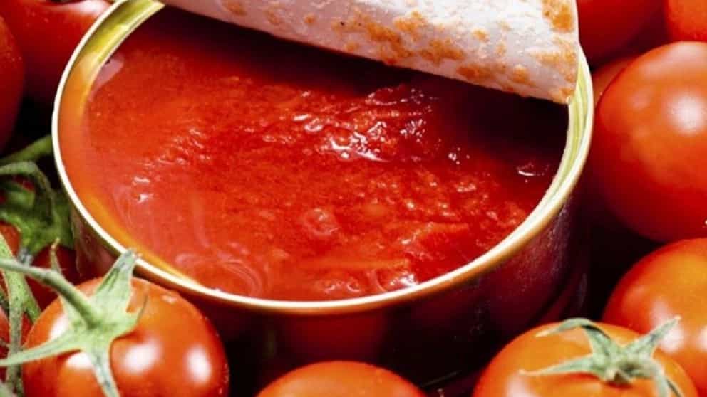 Properties of tomato paste