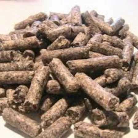 خوراک و کنسانتره طیور