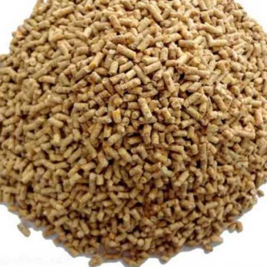 خوراک و کنسانتره طیور