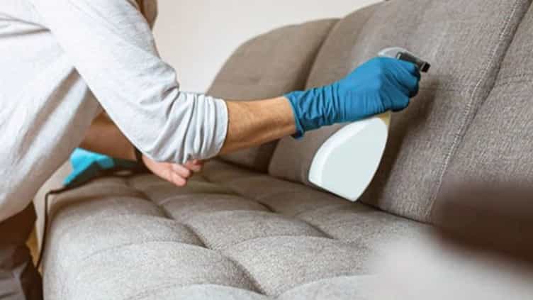 Detergents used in washing sofas