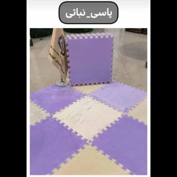1703333663461.webp