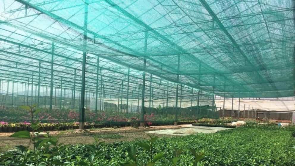 The most important fields of application of canopy mesh (greenhouse shade)