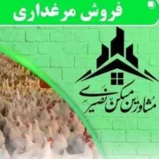 املاک نصیری