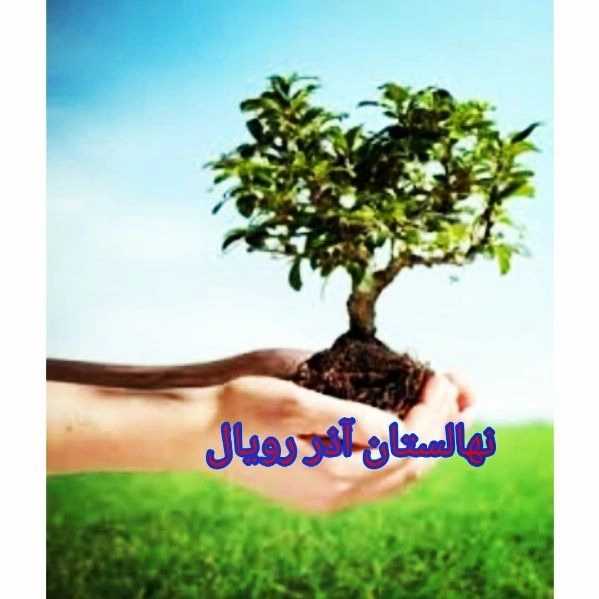 نهالستان