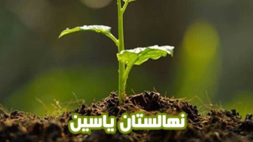 Yasin nursery in Damavand