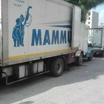 پروتئینی سرای تورتک