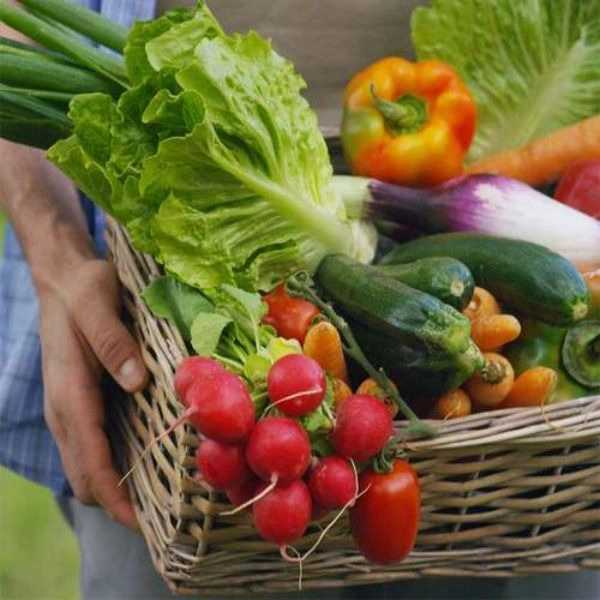 صیفی جات خشک و تر نجفی