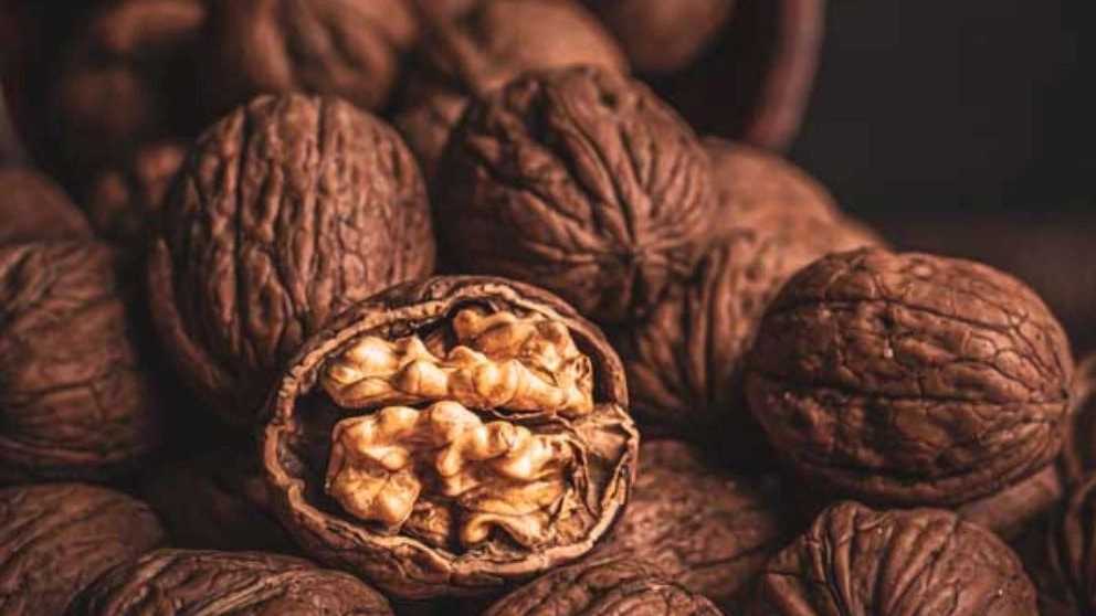 چگونه از مغز گردو نگهداری کنیم که تازگی خود را از دست ندهد؟