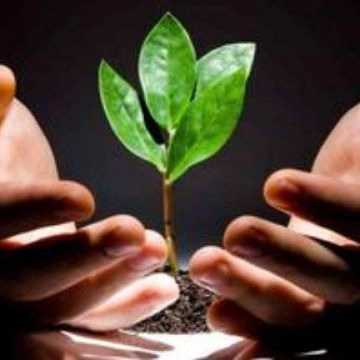 کمپ ترک اعتیاد میلادی دوباره