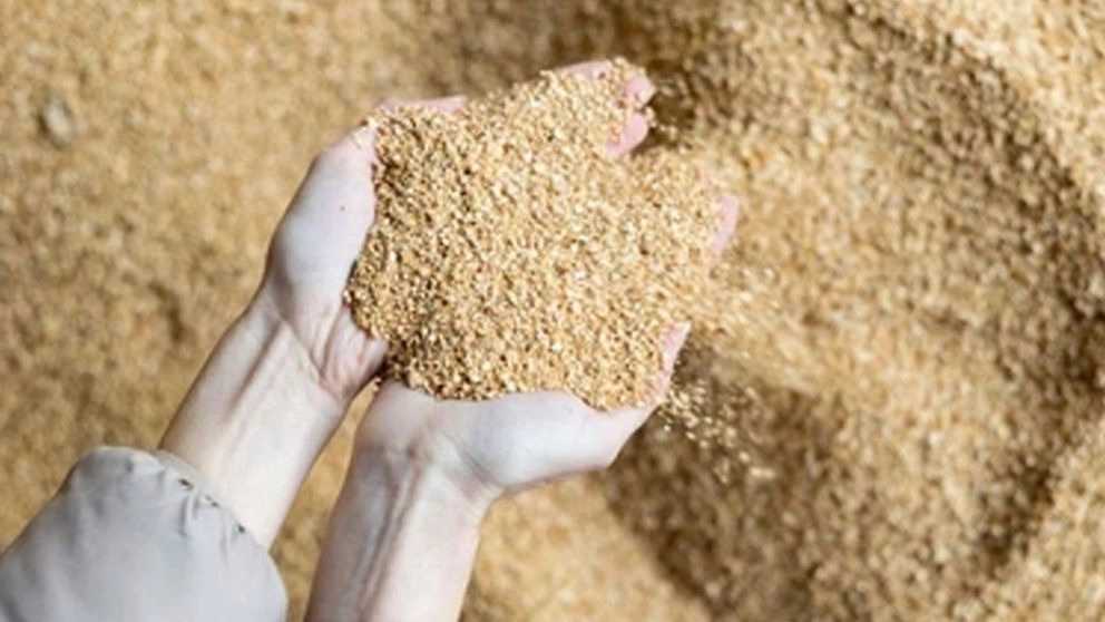 بيع علف الماشية والدواجن من حبوب بحر قزوين بالجملة في طهران