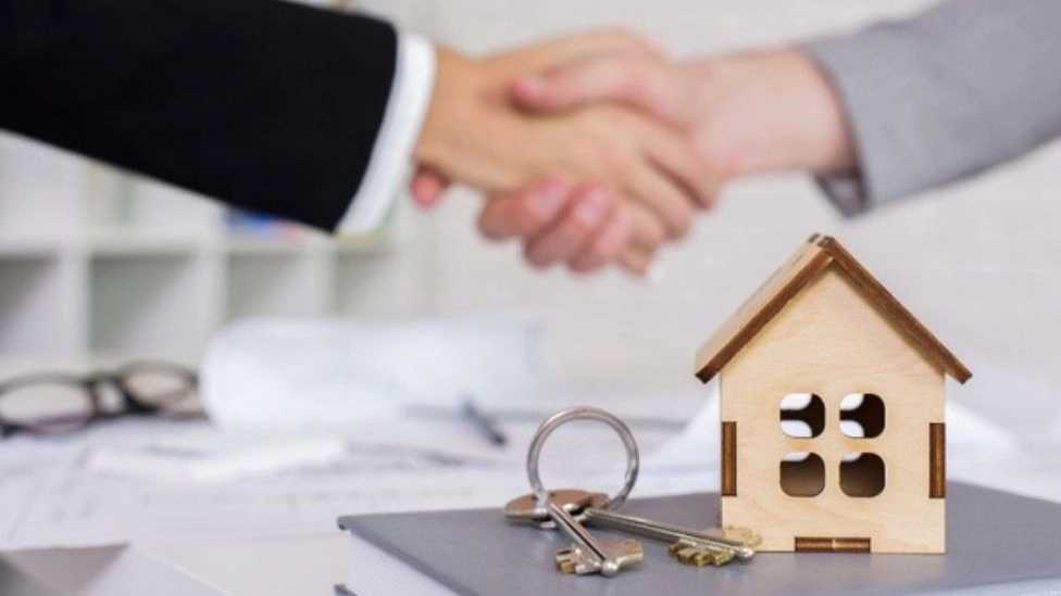 Mr. Real Estate Consultant in Shaft Gilan