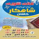 Furniture cleaning and carpet cleaning, the masterpiece of a farmer in Kashan