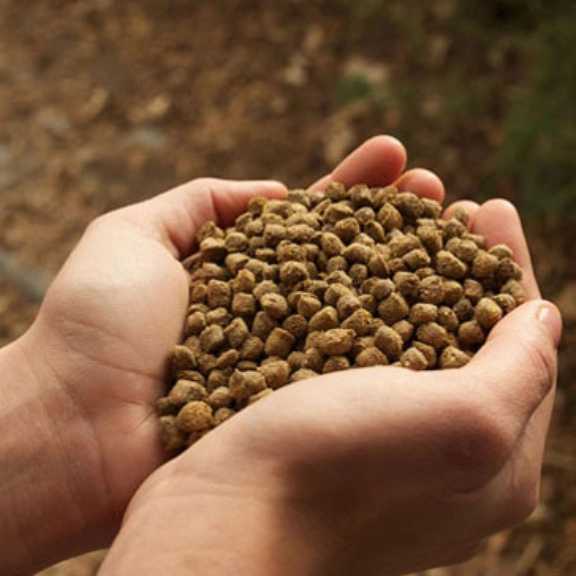فروش عمده خوراک دام و طیور
