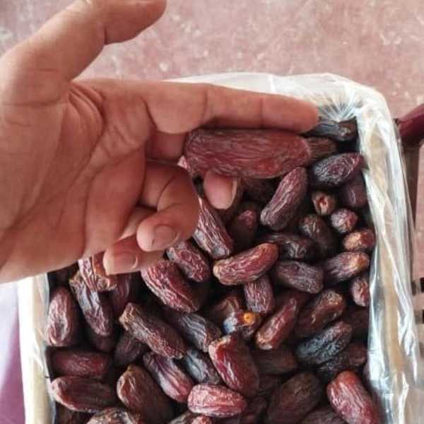صادرات خرمای درجه یک مضافتی برادران امجزی نژاد در کرمان
