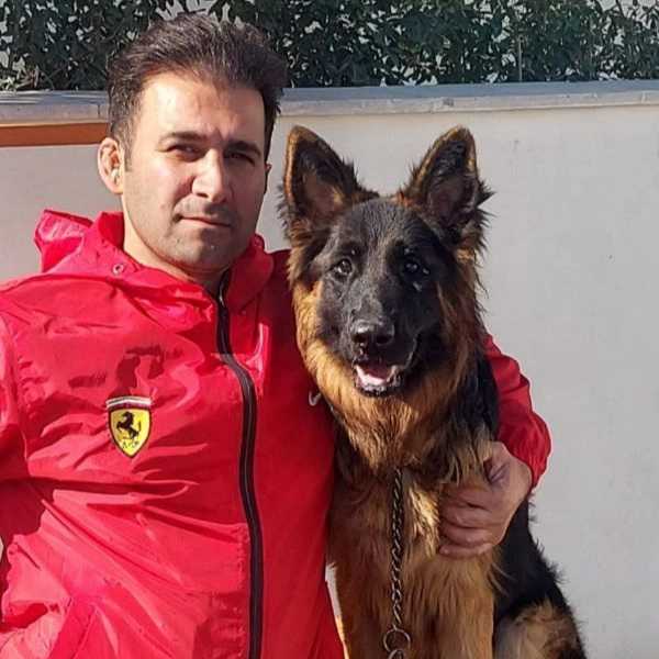 مرکز آموزشی سگ های کار هیرو k9
