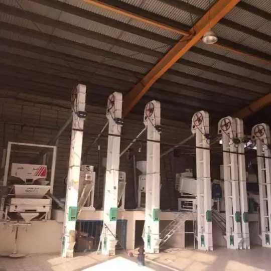 کارخانه برنجکوبی و بسته بندی رفیعی