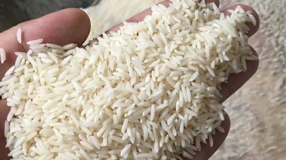 آشنایی با نحوه کار شالیکوبی