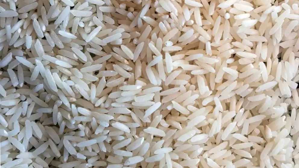 معیارهای یک برنج مرغوب