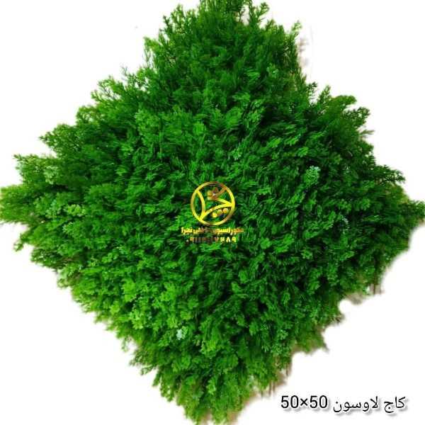 گرین وال و فنس چمنی