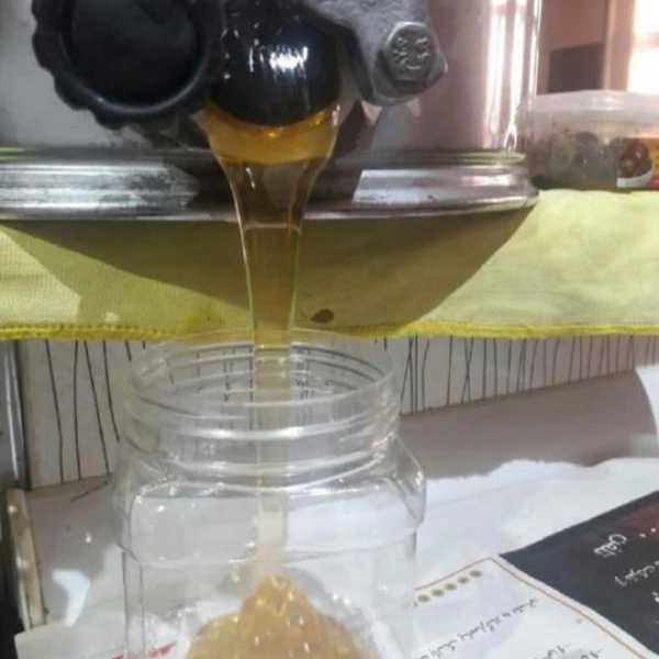 ژل رویال السا