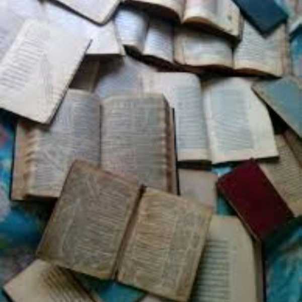 کتابفروشی آلیان